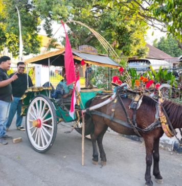 Bulfest 2026 Hadirkan Nuansa Tempo Dulu, Angkutan Gratis Diganti Dokar