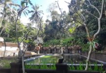 Desa Adat Demulih Rancang Destinasi Wisata Pelukatan di Kaki Hutan Adat