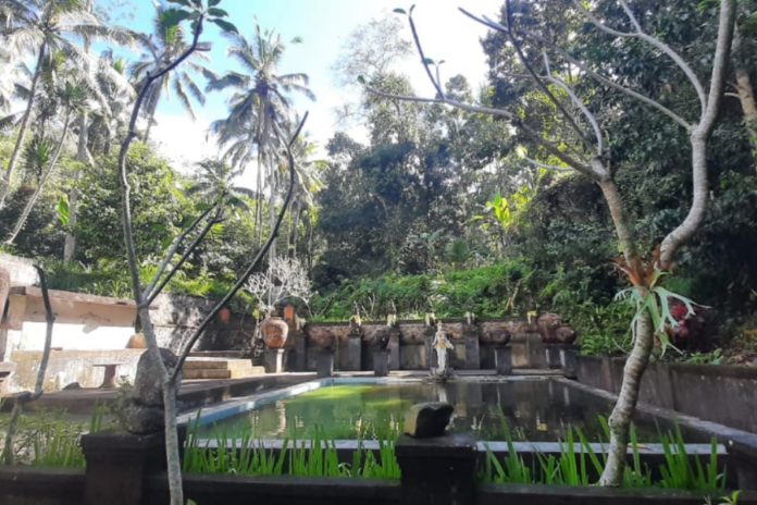 Desa Adat Demulih Rancang Destinasi Wisata Pelukatan Di Kaki Hutan Adat 1