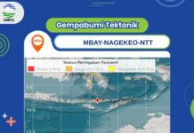 Gempa 7,7 Magnitudo di NTT, BMKG Nyatakan Peringatan Dini Tsunami Berakhir