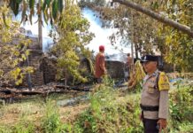 Gudang Minyak Cengkih Terbakar di Padangbulia, Lima Unit Damkar Dikerahkan
