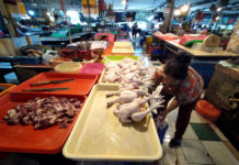 Harga Daging Ayam Sentuh Rp45.000 per Kilogram: Pinsar Bali Sebut Beberapa Alasan, MBG Salah Satunya
