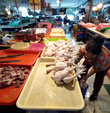 Harga Daging Ayam Sentuh Rp45.000 per Kilogram: Pinsar Bali Sebut Beberapa Alasan, MBG Salah Satunya