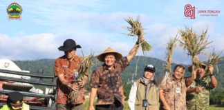 Hari Jadi ke-81 Jateng: Dari Sawah Jawa Tengah untuk Meja Makan Indonesia