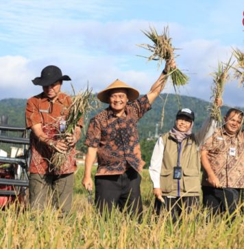Hari Jadi ke-81 Jateng: Dari Sawah Jawa Tengah untuk Meja Makan Indonesia