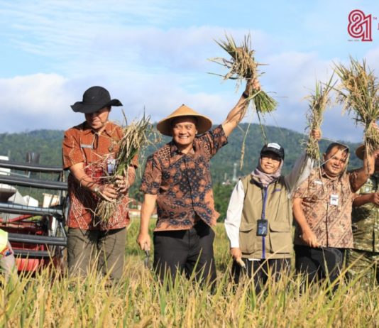 Hari Jadi ke-81 Jateng: Dari Sawah Jawa Tengah untuk Meja Makan Indonesia