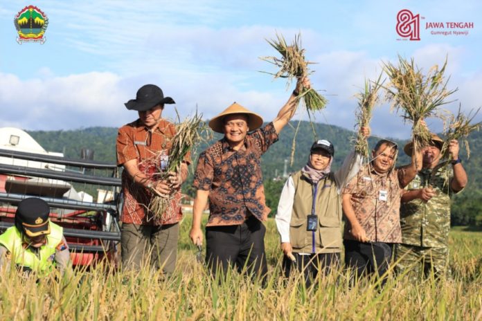Hari Jadi Ke 81 Jateng: Dari Sawah Jawa Tengah Untuk Meja Makan Indonesia 4