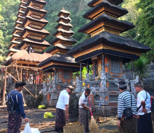 Jelang Karya Tawur Agung di Pura Hulundanu Batur, Krama Banjar Yeh Panes B “Ngayah”