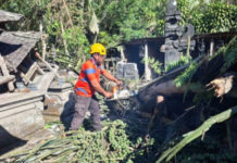 Karangasem Diterjang Angin Kencang, Rumah dan Pelinggih Warga Alami Kerusakan Parah