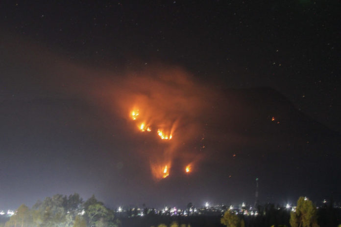 Kebakaran Bromo Makin Meluas, Tim Gabungan Tangani Area 899,36 Hektare 1