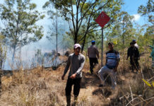 Kebakaran di TWA Gunung Batur Bukit Payang Hanguskan 2 Hektare Hutan Konservasi