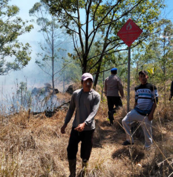 Kebakaran di TWA Bukit Payang Hanguskan 2 Hektare Hutan Konservasi