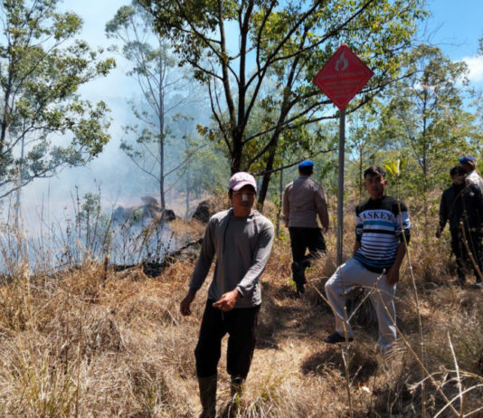 Kebakaran di TWA Gunung Batur Bukit Payang Hanguskan 2 Hektare Hutan Konservasi