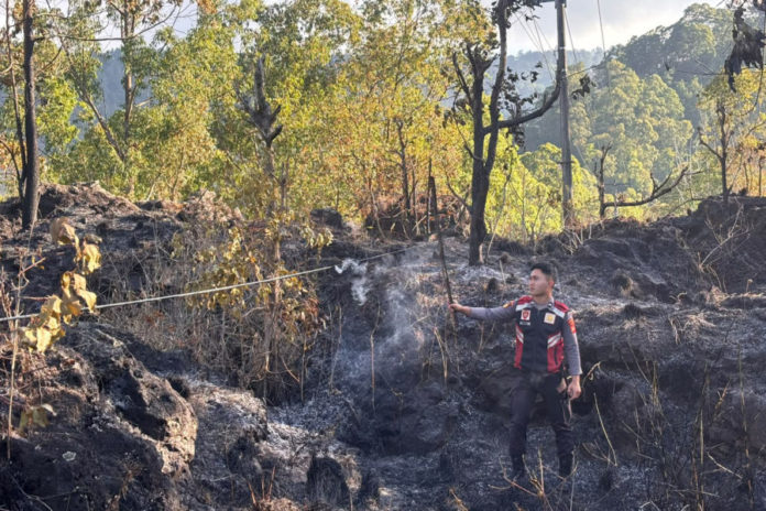Kebakaran Hutan Di TWA Gunung Batur Hanguskan 2 Hektar Lahan 1