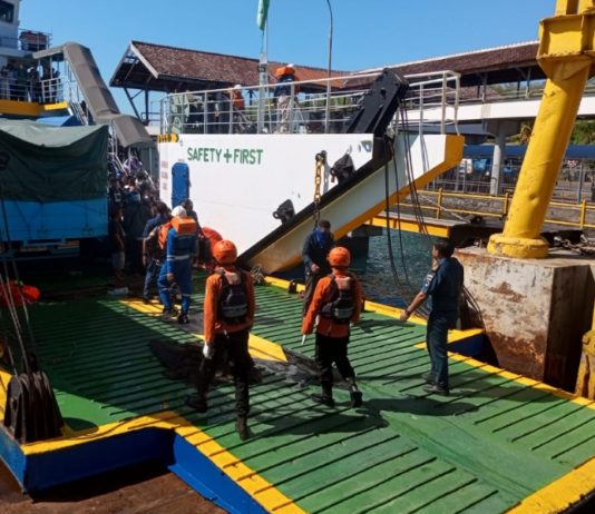 Kebakaran KMP Putri Yasmin, Satu Meninggal dan 172 Orang Selamat