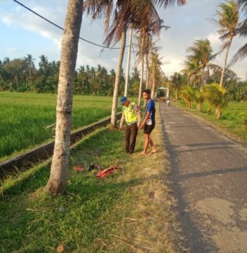 Kecelakaan Tunggal di Melaya, Pemotor Meninggal Dunia
