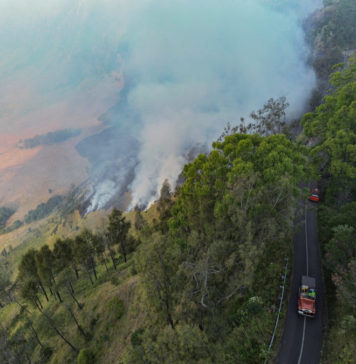 Kemenhut Kerahkan Operasi Terpadu Atasi Kebakaran Gunung Bromo