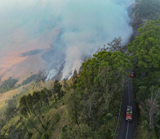 Kemenhut Kerahkan Operasi Terpadu Atasi Kebakaran Gunung Bromo