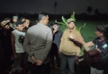Keributan Antarburuh Proyek di Munggu, Sejumlah Orang Diamankan Polisi