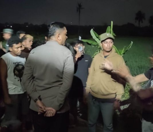 Keributan Antarburuh Proyek di Munggu, Sejumlah Orang Diamankan Polisi