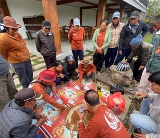 Kulit Kopi Diubah Jadi Pakan Ternak, Petani Kintamani Terapkan Konsep Zero Waste