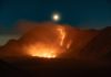 Luas Kebakaran di Kawasan Gunung Bromo Capai 520 Hektare