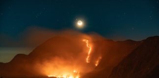 Luas Kebakaran di Kawasan Gunung Bromo Capai 520 Hektare