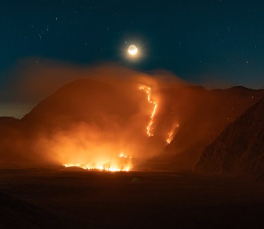 Luas Kebakaran di Kawasan Gunung Bromo Capai 520 Hektare