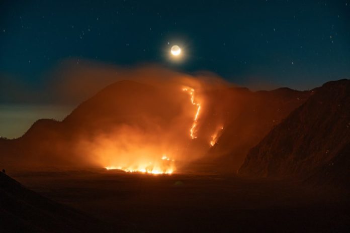 Luas Kebakaran Di Kawasan Gunung Bromo Capai 520 Hektare 1
