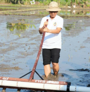Modernisasi Melalui Metode PMAAS, Bupati Adi Arnawa Targetkan Produktivitas Padi 12 Ton Per Hektare