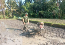 Musim Tanam Agustus Dikebut, Babinsa Turun Langsung ke Sawah