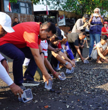 Pantai Camplung Dikembangkan Jadi Wisata Bahari Berbasis Konservasi Penyu