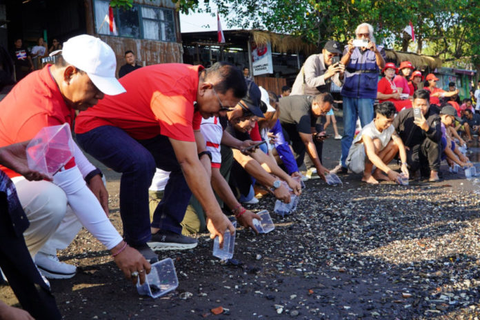 Pantai Camplung Dikembangkan Jadi Wisata Bahari Berbasis Konservasi Penyu 1