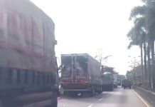 Pascapenertiban, Truk Kembali Parkir Liar di Sepanjang Jalan Terminal Mengwi