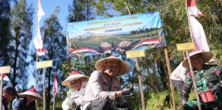 Petani di Bangli Kurang Tertarik Budidaya Bawang Putih, Ini Alasannya