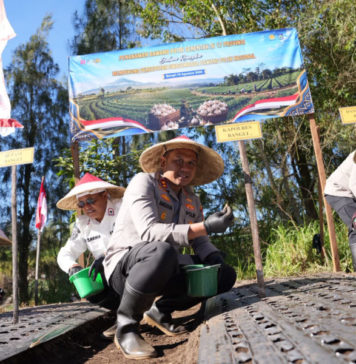 Petani di Bangli Kurang Tertarik Budidaya Bawang Putih, Ini Alasannya