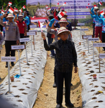 Perkuat Swasembada Pangan, Gubernur Koster Dukung Gerakan Serentak Penanaman Bawang Putih