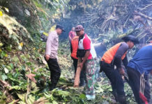 Pohon Tumbang Halangi Jalan, Arus Lalin Sempat Terganggu