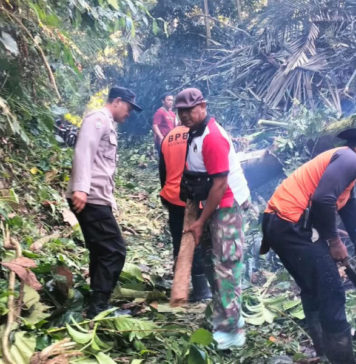 Pohon Tumbang Halangi Jalan, Arus Lalin Sempat Terganggu