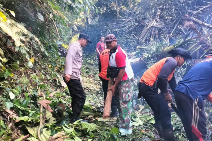 Pohon Tumbang Halangi Jalan, Arus Lalin Sempat Terganggu 1