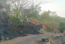 Potensi Kebakaran Lahan di Kubu Besar, Proses Pemadaman Terkendala Jarak dan Akses