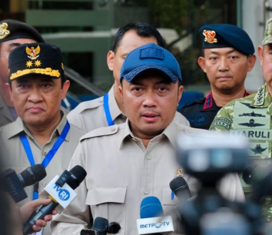 Presiden Tekankan Penegakan Hukum bagi Penyebab Karhutla