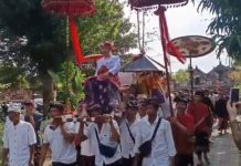 Puri Agung Singasana Gelar Pawiwahan, Gong Beri dan Joli Kerajaan Iringi Prosesi Peminangan