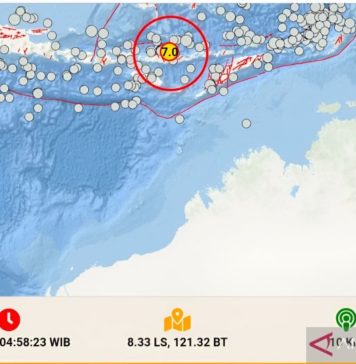 Gempa Besar Guncang NTT, Dampaknya hingga Pulau Lombok