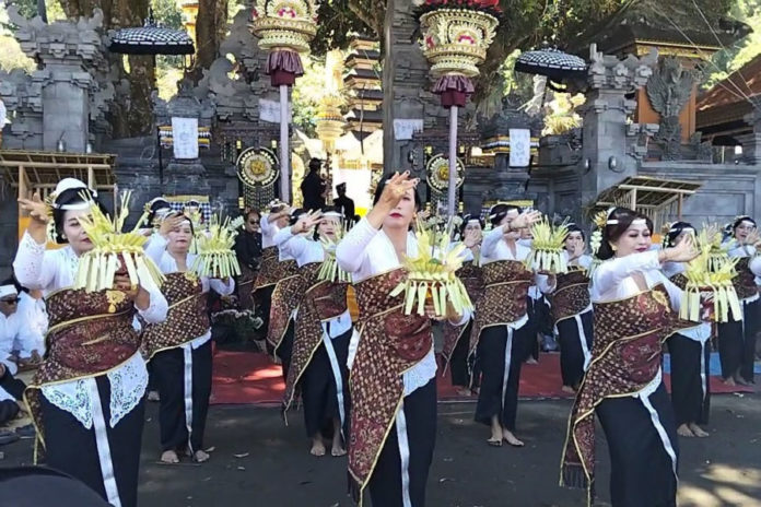 Ratusan Krama Ikuti Prosesi Nyenuk Di Pura Hulundanu Batur Desa Adat Songan 1
