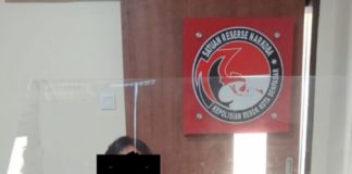 Satresnarkoba Polresta Tangkap Pengedar Ganja Dibekuk di Kerobokan