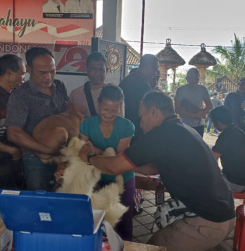 Segini, Capaian Vaksinasi Rabies di Tabanan
