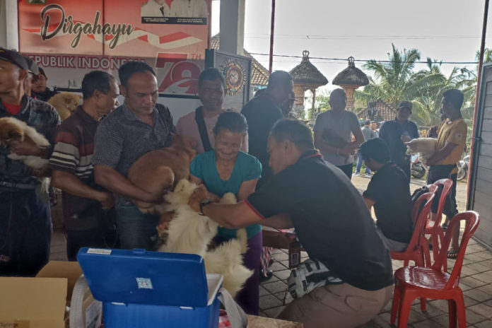 Segini, Capaian Vaksinasi Rabies Di Tabanan 1