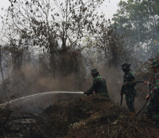 Tangani Karhutla, 65 Ribu Personel Diterjunkan untuk Pemadaman dan Pendinginan