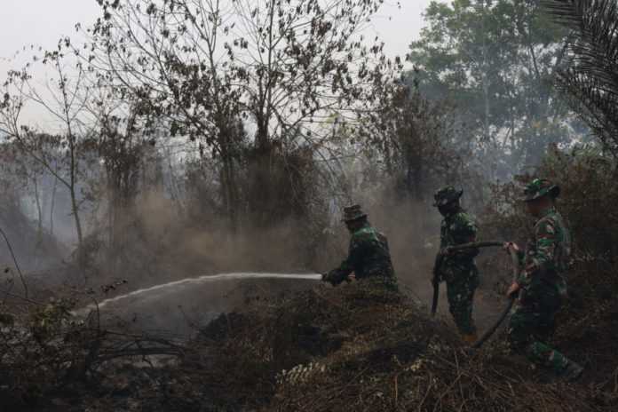 Tangani Karhutla, 65 Ribu Personel Diterjunkan Untuk Pemadaman Dan Pendinginan 1